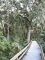 Boardwalk at Erna Nixon Park