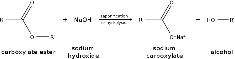 Ester saponification (basic hydrolysis)