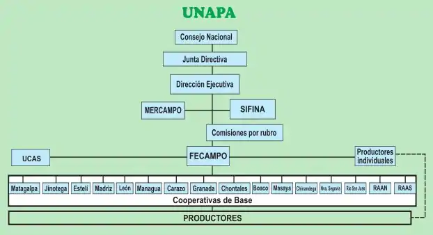 Estructura de la UNAPA