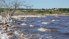 Étang de Lavalduc, the lowest point in France