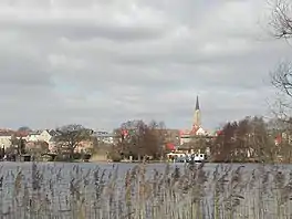 A lake with reeds on the foreshore and a town of the far shore