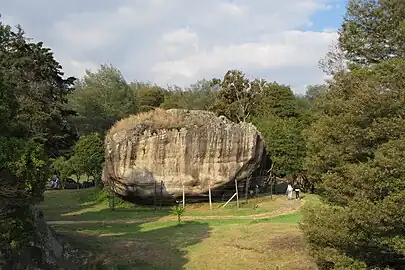 Rock face with petroglyphs