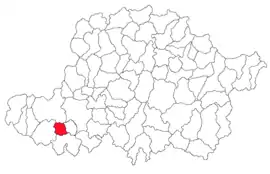 Location in Arad County