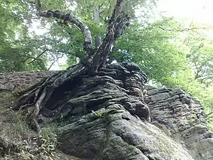 Rock formation at the Jägerhaus above St Hubert's Chapel (and St. Hubert's Grotto)