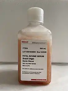 Fetal bovine serum