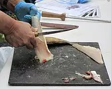 Filleting a fish, demonstration