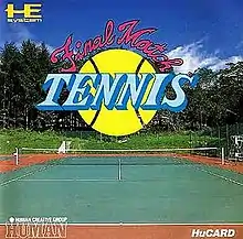 Final Match Tennis