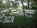 Fish Hatchery below Amaravathi Dam