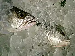 Fish packed in ice