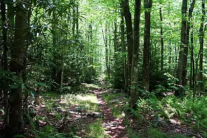 On Fisher Spring Run Trail