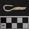 A fishhook found at Nixtun Chʼichʼ