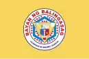 Flag of Balingasag