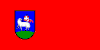 Flag of Dravograd