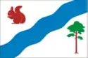 Flag of Gaynsky District