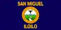 Flag of San Miguel