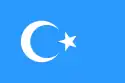 Flag of East Turkistan