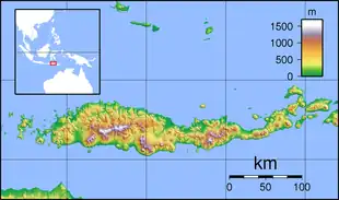 1982 Flores earthquake is located in Flores