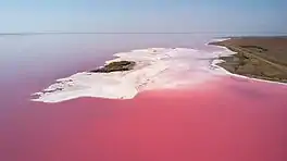 View of Lake Lemuria, one of the bodies of water tinted by algae