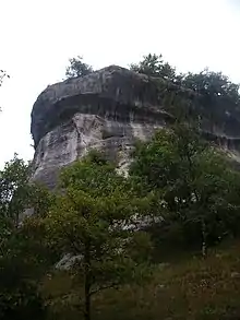 Font-de-Gaume cave