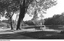 Overlooking the mill pond (1985)