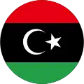 Free Libyan Air Force (2011–2014)