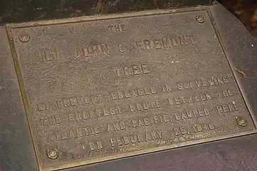 Henry Cowell Redwoods State Park, Redwood Grove. The plaque in front of the Coast Redwood tree inside of which Lt. John. C. Fremont camped in 1846.