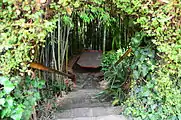 Path in botanical garden to sitting area