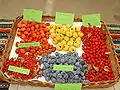 Orange and yellow azarole fruits displayed alongside common haws, sloes and jujubes.