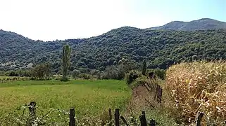 Fields of Kišava