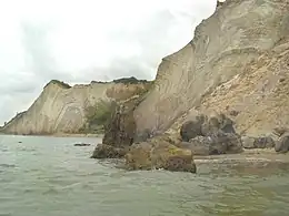 These cliffs of Fur have been a rich source of fossils.