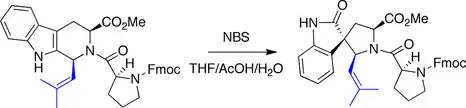 Ganesan spirotryprostatin B synthesis