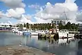 Fishing boats docked in the harbour