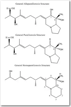 General Structures