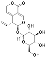 Gentiopicroside (gentiopicrin) a selected constituent of Gentiana.