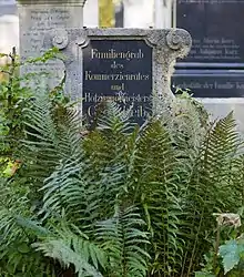 Georg Leib's Grave