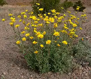 Death Valley National Park