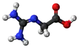 Ball and stick model of a glycocyamine minor tautomer