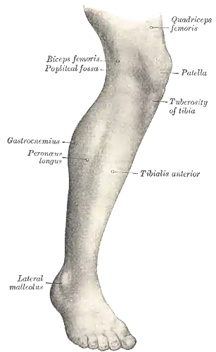 Lateral aspect of right leg.