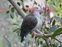 At San Diego Zoo