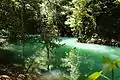 Green river at the national park