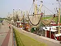 Shrimp cutters in the harbour