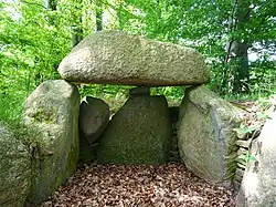 Megalithic tomb (Großsteingräber bei Flehm [de]) in Högsdorf