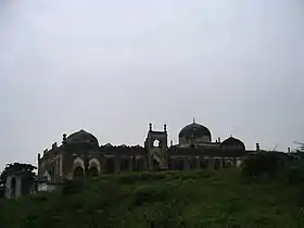 View of the mosque, in monsoon, covered with seasonal grass.