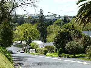 Radnor Street in Hamilton West, Hamilton.