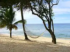 Hammock on a tropical beach