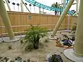 Hangtime's ride queue features a beach type setting