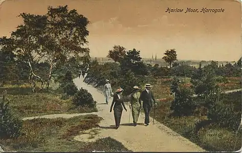 Grainge and Farrah used to walk via Harlow Moor ...