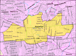 U.S. Census map