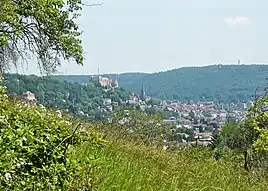 View of Marburg Castle from high ground above Ockershausen