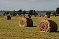 Hay bails on the Puhtulaid peninsula